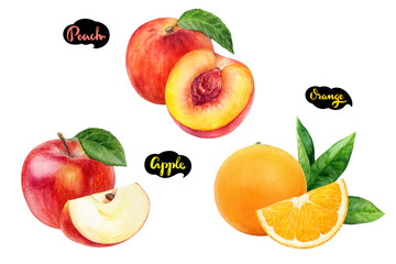 Apple orange peach set fruit watercolor isolated on white background