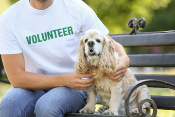 Male volunteer with cute dog sitting on bench outdoors