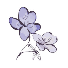 Fototapeta premium Azalea. Flower. Graphics. Drawing for advertising, logos. Stylization: watercolor.