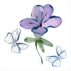 Azalea. Flower. Graphics. Drawing for advertising, logos. Stylization: watercolor.
