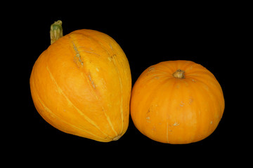 two ripe orange pumpkins isolated on black background