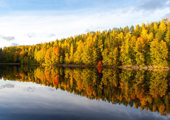 Colorful autumn day in Finland. Sunny afternoon with amazing colors in the nature, reflection on the water.