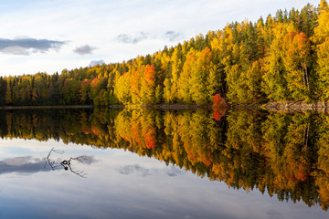 Colorful autumn day in Finland. Sunny afternoon with amazing colors in the nature, reflection on the water.