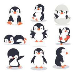 Cute little penguin different poses set - obrazy, fototapety, plakaty