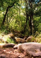 Ruta senderista cascada de Sotillo Zamora