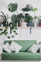 nordic style appartment with tropical flowers decoration