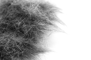 Macro Image of Black and White Cat Hair Collected After Grooming Session. Isolated on White Background.