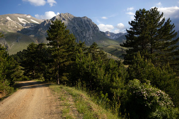Beautiful mountain landscape background image