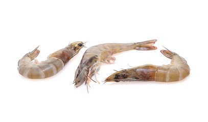 Raw shrimp isolated on white background