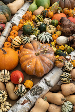 Courges du march&eacute;
