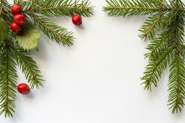 Background and border for Christmas and new year cards with a branch of spruce and red berries. Isolated. Copy space.