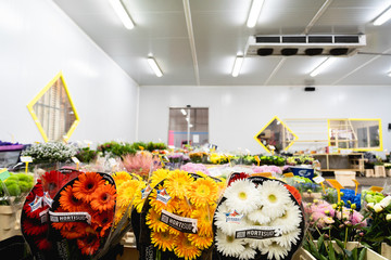 flowers stale in a wholesale shop in france