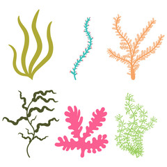 Seaweed vector cartoon set isolated on a white background.