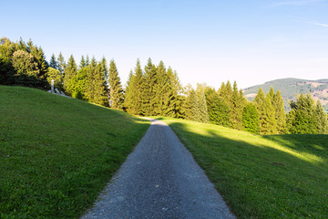 Composite landscape. fence near road going down the hill through meadow and forest to the high mountains in evening light