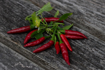 Chilli pepper var. Naito