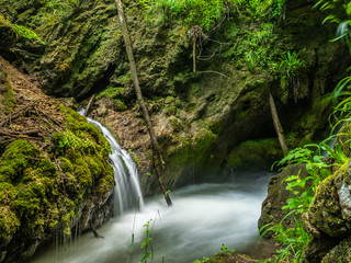 Forest mountain waterfall in summer