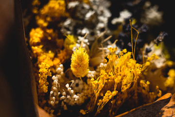 bouquet de fleurs séchées jaune
