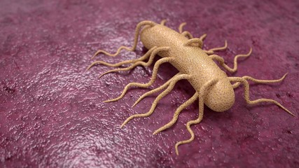 Listeria bacteria on meat.