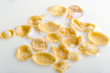 Closeup of corn flakes in the fresh milk