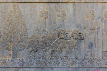 Persepolis ruins, near Shiraz, Fars, Iran