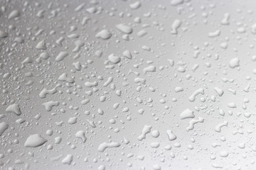 Water droplets on a gray background 