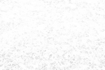 White Leaves Plant in Fossil Style on Concrete Wall Texture Background.