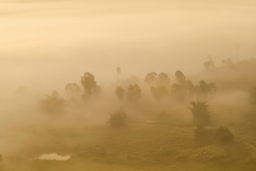 Top view of green forest in valley around with ocean of fog, sunrise at Khao Takhian (takian) Ngo, Khao K
