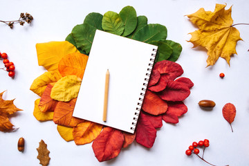 Empty notepad for writing on an autumn background of colored leaves