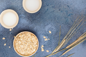 Oat milk in cups, plant, flakes in wooden utensil on blue concrete background. Vegan, non-dairy drink concept. Top view, flat lay, copy space