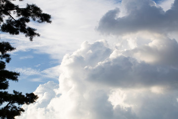 Fototapeta premium Big clouds in blue sky. Close-up.