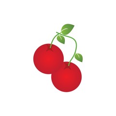 Cherry logo vector