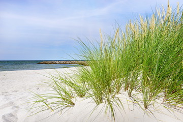 Ostsee Düne - Meer
