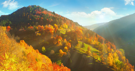 Schwarzwald im Herbst