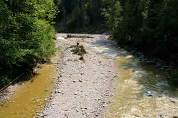 Fluss Lofer bei Reit im Winkl mit Niedrigwasser im Sommer 2019