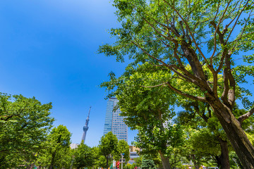錦糸公園の風景