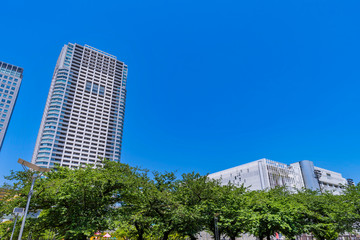 Fototapeta premium 錦糸公園の風景