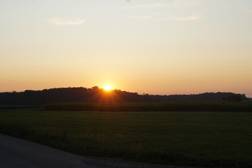 sunset in the nature on with view on the edge of the forest