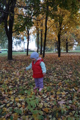 Fototapeta na wymiar in the autumn park