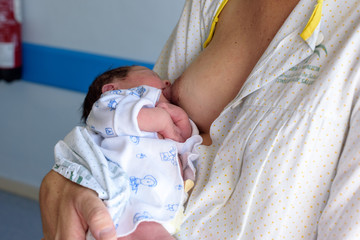 Bebé recién nacido mamando 11