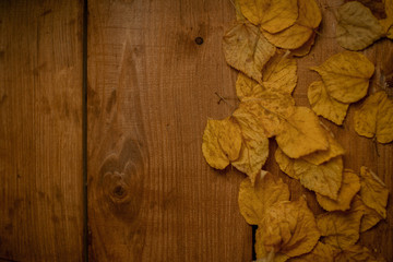 Yellow leaves on the wooden background. Autumn leaves.