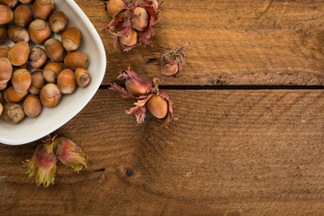 Freshly harvested hazelnuts