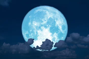 Cercles muraux Pleine Lune arbre Lune bleue de fraise de retour sur le nuage de tas de silhouette sur le ciel de coucher du soleil