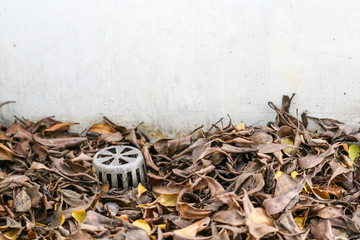 Many dry leaves clogged the drain, causing water to leak inside the building