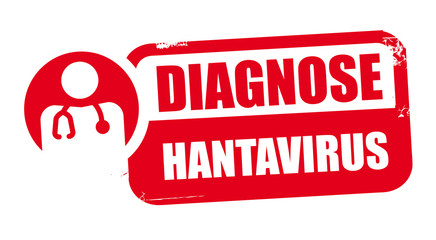 Stempel Diagnose Hantavirus