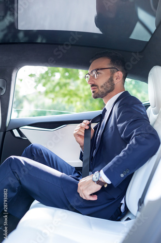 Young Elegant Man Fastening Seat Belt While Sitting On Back Young Elegant Man Fastening Seat Belt