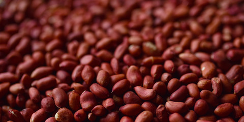 groundnuts fresh raw peanuts without shell
