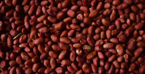 groundnuts fresh raw peanuts without shell