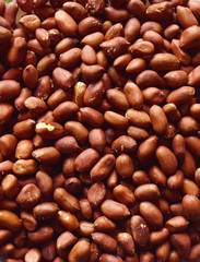 groundnuts fresh raw peanuts without shell
