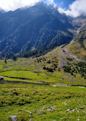 Fototapeta na wymiar Hochalpine Almwiese im Sellraintal, Österreich
