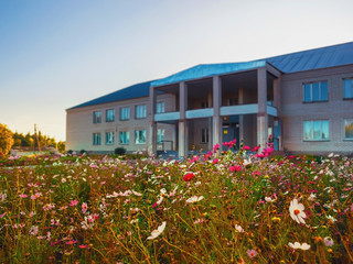 A small meadow with an abundance of paint colors in front of the administrative building